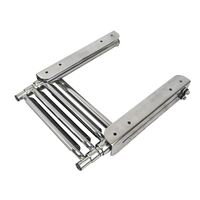 Ladder Under Platform Telescopic Self Locking 3 Step