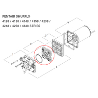 Replacement Shurflo Pump Valve Assembly 94-800-01