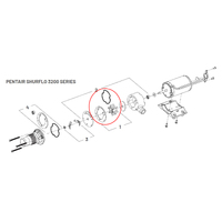 Replacement Shurflo Macerator 3200 Impeller Kit