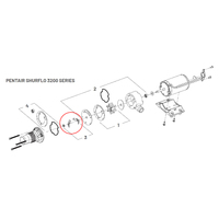 Replacement Shurflo Macerator 3200 Blade Kit