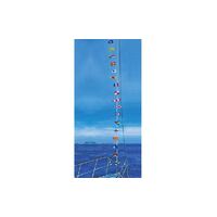 Flags Set On 12Mtr String