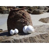Polystyrene Crab Float