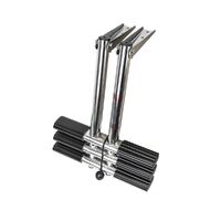 Heavy-Duty Telescopic Dive Ladder