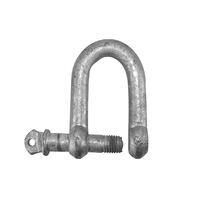 D Shackles Galvanised