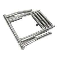Ladder Above Platform Telescopic with Grab Handles 4 Step