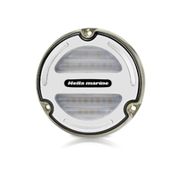 Hella Apelo A3 Bronze Underwater Light Blue/White LED with White Lens