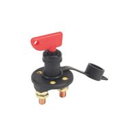 Battery Switch with Removable Key