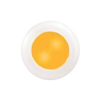 LED Interior Cabin Coloured Lights Round with White and Chrome Trim 12V
