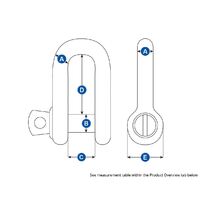 D Shackles Stainless Steel
