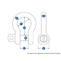 Bow Shackles Galvanised