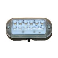 Underwater Light LED - 2.4 Watt
