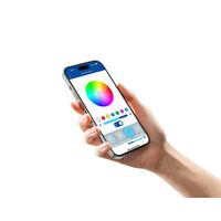 Hella Marine Apelo Smart RGB Lighting Controller
