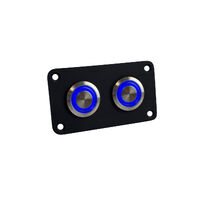 Black Stainless Steel Strip Panels with Stainless Steel Switches Blue LED
