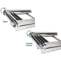 Under Platform Telescopic Ladder with Locking Bracket