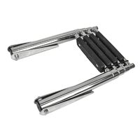 Above Platform Telescopic Ladder with Extra Wide Steps