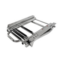 Ladder Under Platform Telescopic with Grab Handles