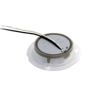 Hella Marine LED Round Courtesy Lamp White