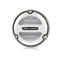 Hella Apelo A3 Bronze Underwater Light Blue/White LED with White Lens
