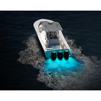 Hella Apelo A3 Bronze Underwater Light Blue/White LED with White Lens