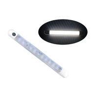 Waterproof LED Strip Light White with Switch 240mm 12V