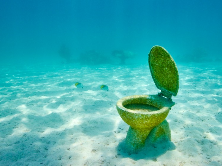 A marine toilet sitting on bottom of the ocean covered in algae