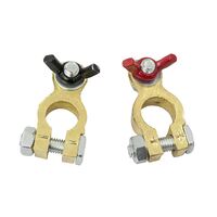 Battery Terminals Bronze Plated Positive and Negative