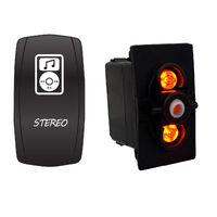 Rocker Switch with Cover Stereo Amber LED