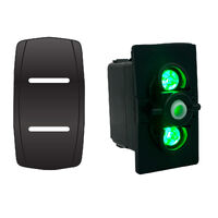 Rocker Switch with Cover Blank Twin Green LED