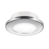 Quick Ted Downlight Stainless Steel Rim Daylight