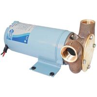 Pump -Util Puppy 3000 12v