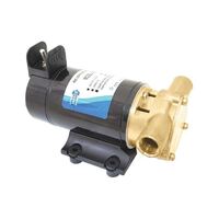 Rotary Vane-Puppy Pump Reversible 12V