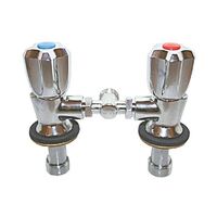 Hot & Cold Mini Twin Tap Mixer