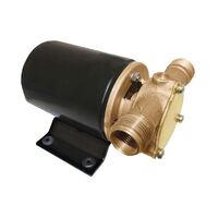 Electric General Purpose Impeller Pump 25LPM 12V