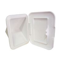 Recessed Box with Hinged Door