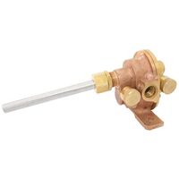 Bronze Gear Pump with 1/2 Inch Female Port