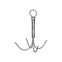 Reef Anchor with Fixed Prongs