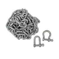 Short Link Chain Kit 2m length with 2x Shackles